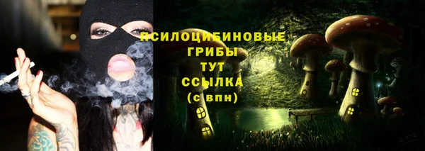 трава Алзамай