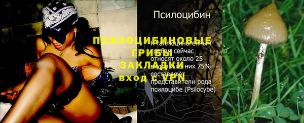 мяу мяу мука Алексин