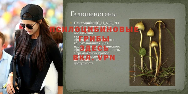 трава Алзамай