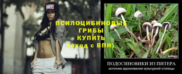 сатива Алексеевка