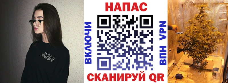 Марихуана сатива  Енисейск 